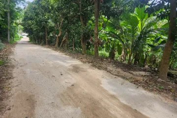 Land for sale in Bo Phut, Surat Thani