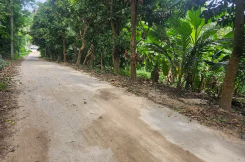 Land for sale in Bo Phut, Surat Thani