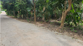 Land for sale in Bo Phut, Surat Thani