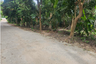 Land for sale in Bo Phut, Surat Thani
