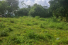 Land for sale in Maret, Surat Thani