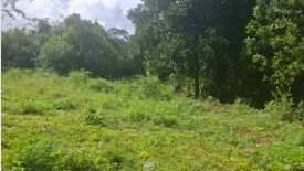 Land for sale in Maret, Surat Thani