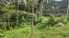 Land for sale in Maret, Surat Thani