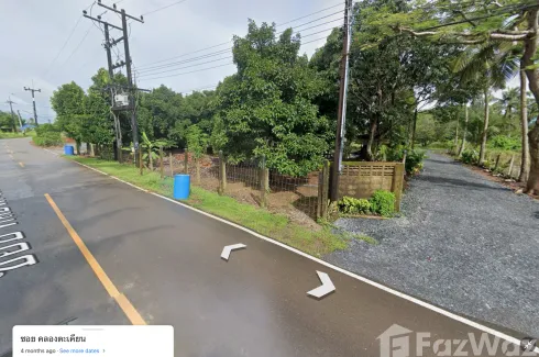 Land for sale in Wan Yao, Chanthaburi