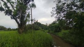 1 Bedroom Land for sale in Lam Phak Chi, Bangkok