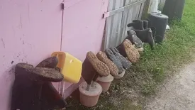 Land for sale in Pong Phrae, Chiang Rai