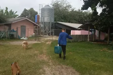 Land for sale in Pong Phrae, Chiang Rai