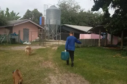 Land for sale in Pong Phrae, Chiang Rai