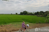 Land for sale in Don Tum, Nakhon Pathom