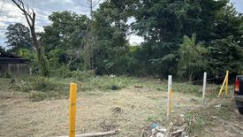 Land for sale in Rim Nuea, Chiang Mai