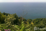 Land for sale in Karon, Phuket