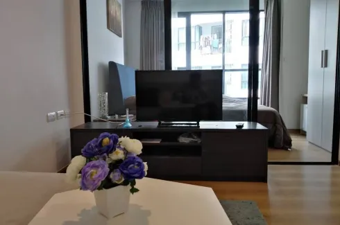 1 Bedroom Condo for rent in Centrio Condominium, Wichit, Phuket