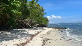 Land for sale in Pa Khlok, Phuket