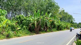 Land for sale in Thep Krasatti, Phuket