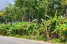 Land for sale in Thep Krasatti, Phuket