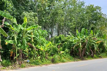 Land for sale in Thep Krasatti, Phuket