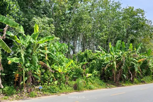 Land for sale in Thep Krasatti, Phuket