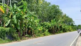 Land for sale in Thep Krasatti, Phuket