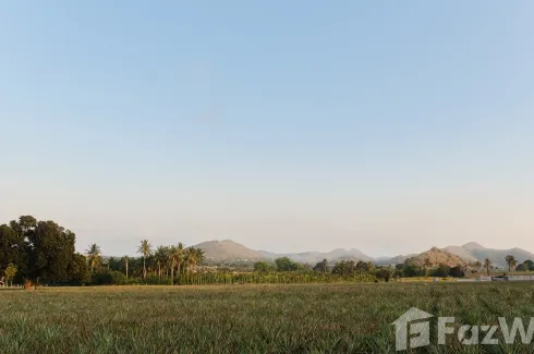 Land for sale in Wang Phong, Prachuap Khiri Khan