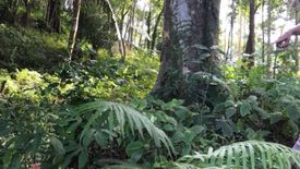 Land for sale in Kathu, Phuket