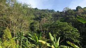 Land for sale in Kathu, Phuket