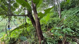 Land for sale in Sakhu, Phuket