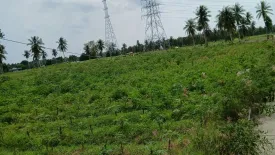 Land for sale in Pong, Chonburi