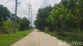 Land for sale in Maenam Khu, Rayong