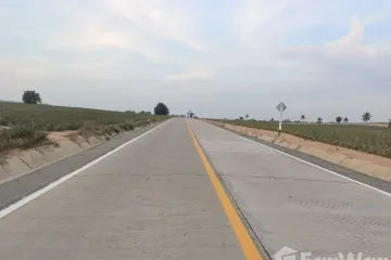 Land for sale in Nong Phai Kaeo, Chonburi