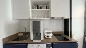 1 Bedroom Condo for rent in THE BASE Central-Phuket, Wichit, Phuket