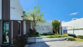 3 Bedroom Villa for rent in Nimman Phuket, Ratsada, Phuket