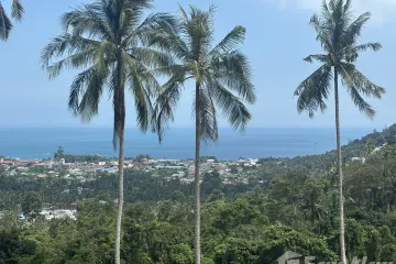 Land for sale in Maret, Surat Thani