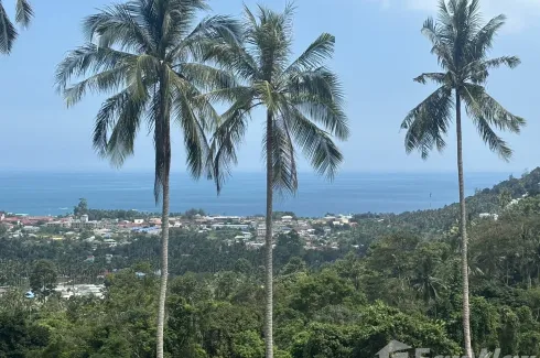 Land for sale in Maret, Surat Thani