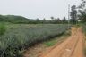 Land for sale in Nong Phlap, Prachuap Khiri Khan