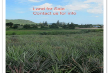 Land for sale in Nong Kae, Prachuap Khiri Khan