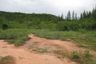 Land for sale in Rai Mai Phatthana, Phetchaburi