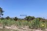 Land for sale in Huai Sai Nua, Phetchaburi