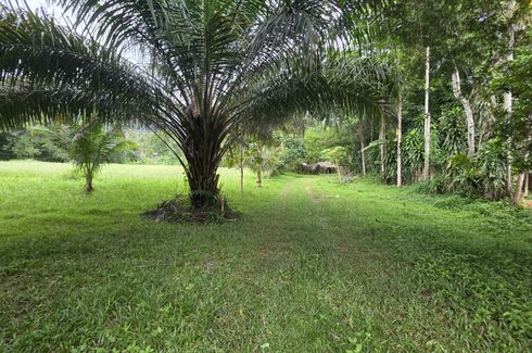 Land for sale in Thep Krasatti, Phuket