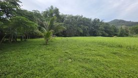 Land for sale in Thep Krasatti, Phuket