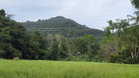 Land for sale in Thep Krasatti, Phuket