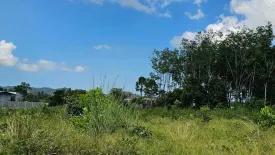 Land for sale in Choeng Thale, Phuket