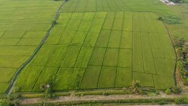 Land for sale in San Pong, Chiang Mai