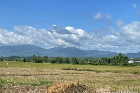 Land for sale in Khilek, Chiang Mai