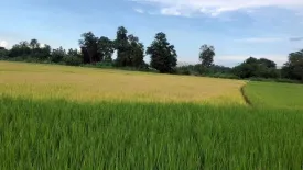 Land for sale in Khilek, Chiang Mai