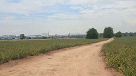 Land for sale in Map Yang Phon, Rayong