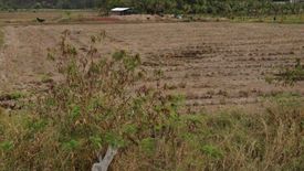 Land for sale in Si Mum, Nakhon Ratchasima