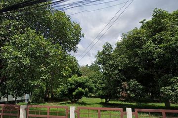 Land for sale in Chang Khlan, Chiang Mai