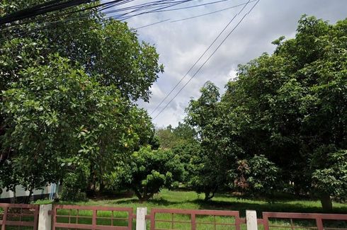 Land for sale in Chang Khlan, Chiang Mai
