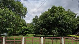 Land for sale in Chang Khlan, Chiang Mai