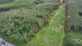 Land for sale in Mai Khao, Phuket